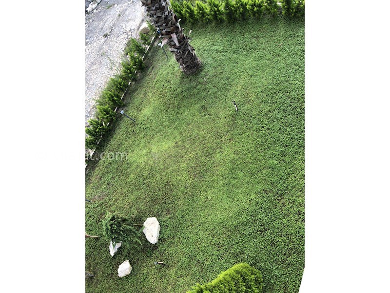 عکس اصلی شماره 3 - فروش ویلا در سیسنگان