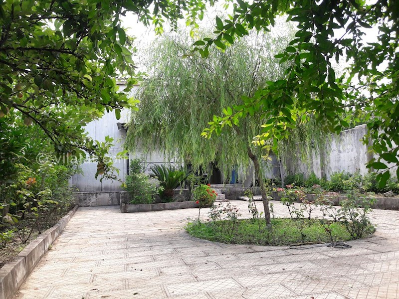 عکس اصلی شماره 3 - خرید ویلا باغ در رویان