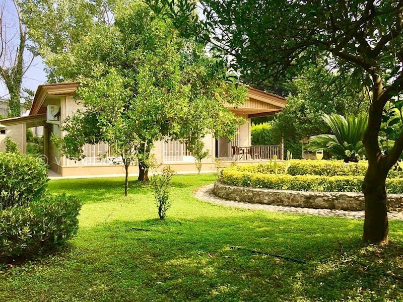 عکس اصلی شماره 6 - فروش ویلا باغ جنگلی در نوشهر