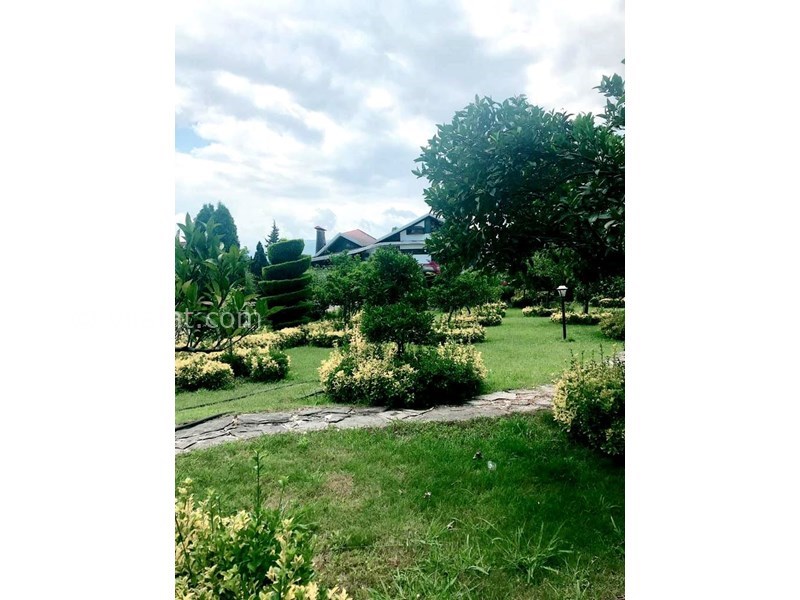 عکس اصلی شماره 4 - ویلا باغ استخردار اطراف رویان